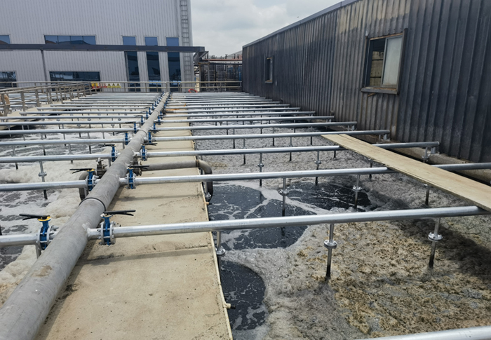 江苏福多美大蒜深加工废水治理工程案例